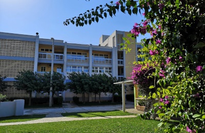 Teach Abroad at ACS Athens: A Blend of Innovation, Tradition, and Cultural Enrichment