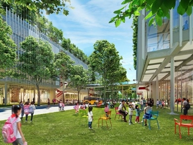 International Teaching Opportunities in Shenzhen