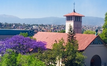 The Oasis of ASF Mexico City